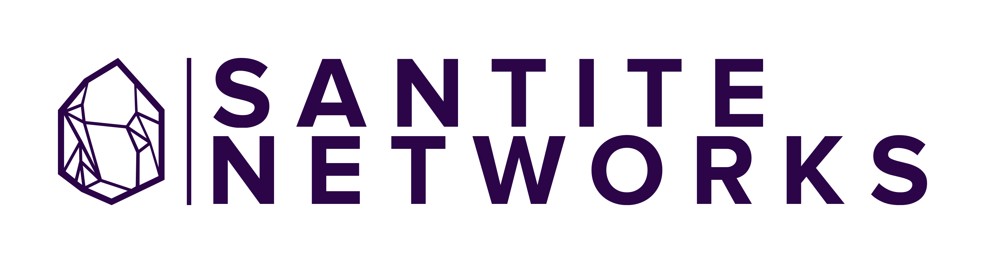 Santite Networks